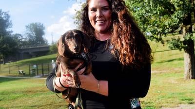 Sunset Dog Park offers spaces for small and large breeds to burn energy