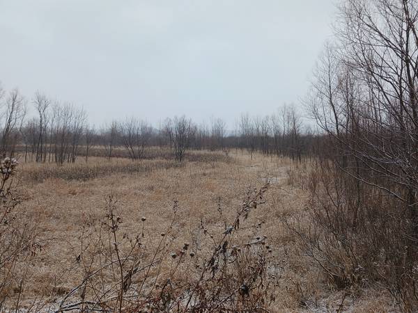 Conservation acquires 40-acre property for public hunting