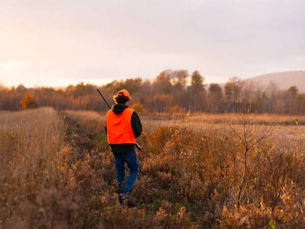 Iowa’s rabbit, squirrel season opens Aug. 30