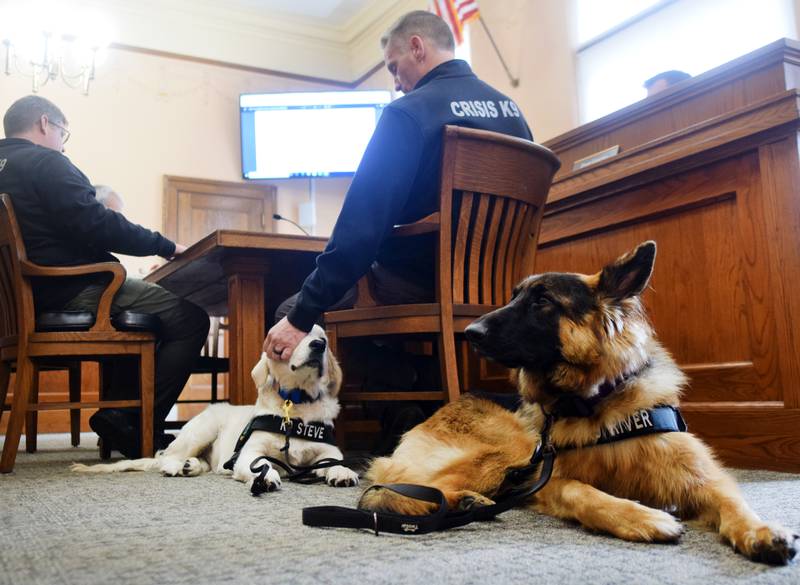 Handlers and dogs of Crisis Canines of the Midlands attend the Nov. 4 board of supervisors meeting in the Jasper County Courthouse to request a fair price for county-owned land that would be used to expand the nonprofit's training facilities.