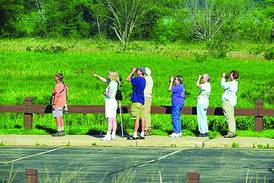 Free Bird Watching and Bagels Program