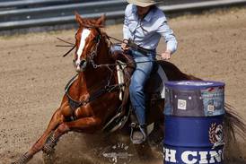 No horsing around here