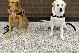 Special canines to visit NPL