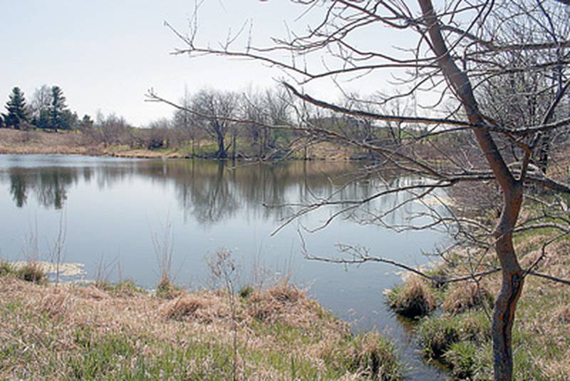 Module topics include conservation history and science, understanding Iowa ecosystems, implementing conservation practices in human-dominated landscapes and developing skills to help educated others about conservation practices.