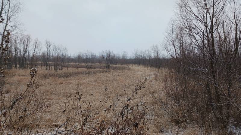 Jasper County Conservation obtained a 40-acre property south of Reasnor that will be used for public hunting. The acquisition of the property was possible in part due to donations from local Pheasants Forever groups.