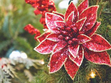 ‘Hanging of the Greens’ service at Our Savior Lutheran Church