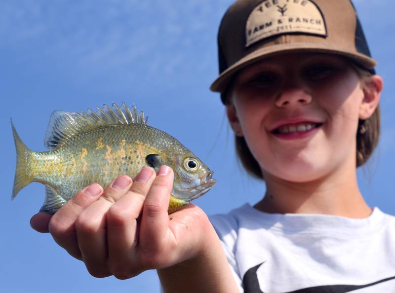 Young anglers catch bluegills and bass (and sometimes softshell turtles) during the Youth Fishing Derby on June 3 at Quarry Springs in Colfax.