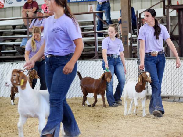 Jasper County Fair is still committed to celebrating kids, family, agriculture