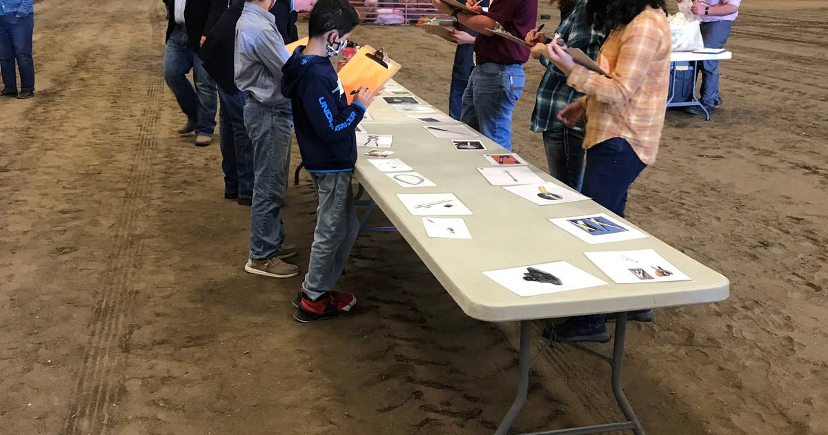 2023 State 4H Livestock Quiz Bowl and 4H Skillathon set for April 1