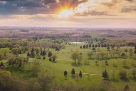 Westwood Golf Course to see removal of 21 damaged trees next spring