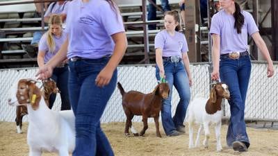 Jasper County Fair is still committed to celebrating kids, family, agriculture