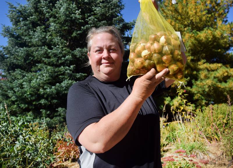 Leah Busch, a horticulturist at the Newton Arboretum & Botanical Gardens, showcases a bag full of bulbs, which can be purchased at the Fall Bulb Sale held Oct. 21 and Oct. 22. The proceeds from the sale will go towards the arboretum.