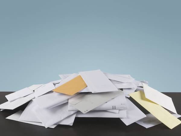 Letter to the Editor: They’re mushrooms