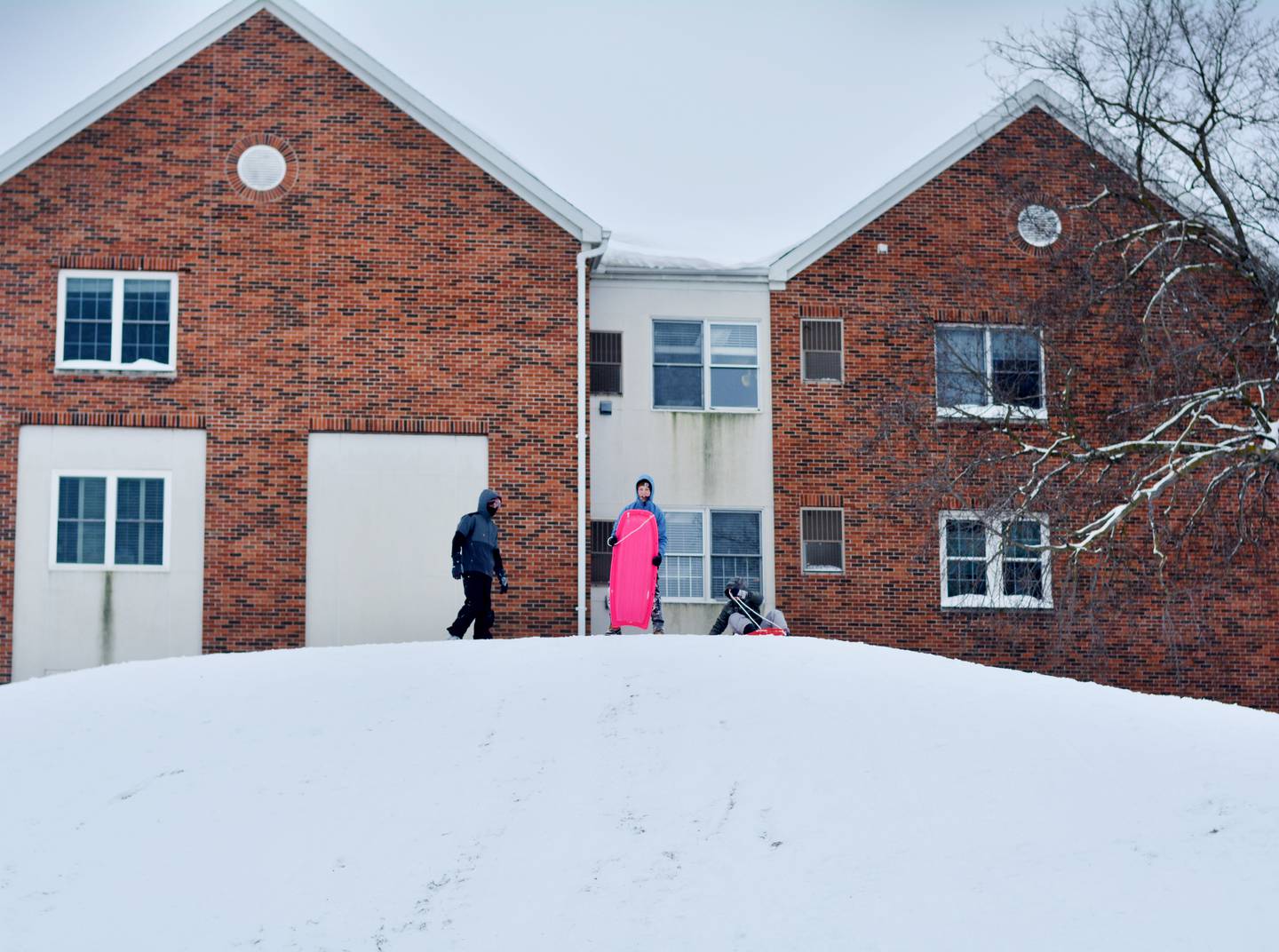 Kids in the community sled down the steep hills of Sunset Park on Sunday, Nov. 30 after the day-long snowstorm the day before.