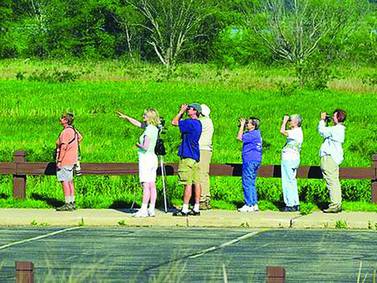 Free Bird Watching and Bagels Program