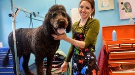 The Pawlished Dog was created with its four-legged customers in mind