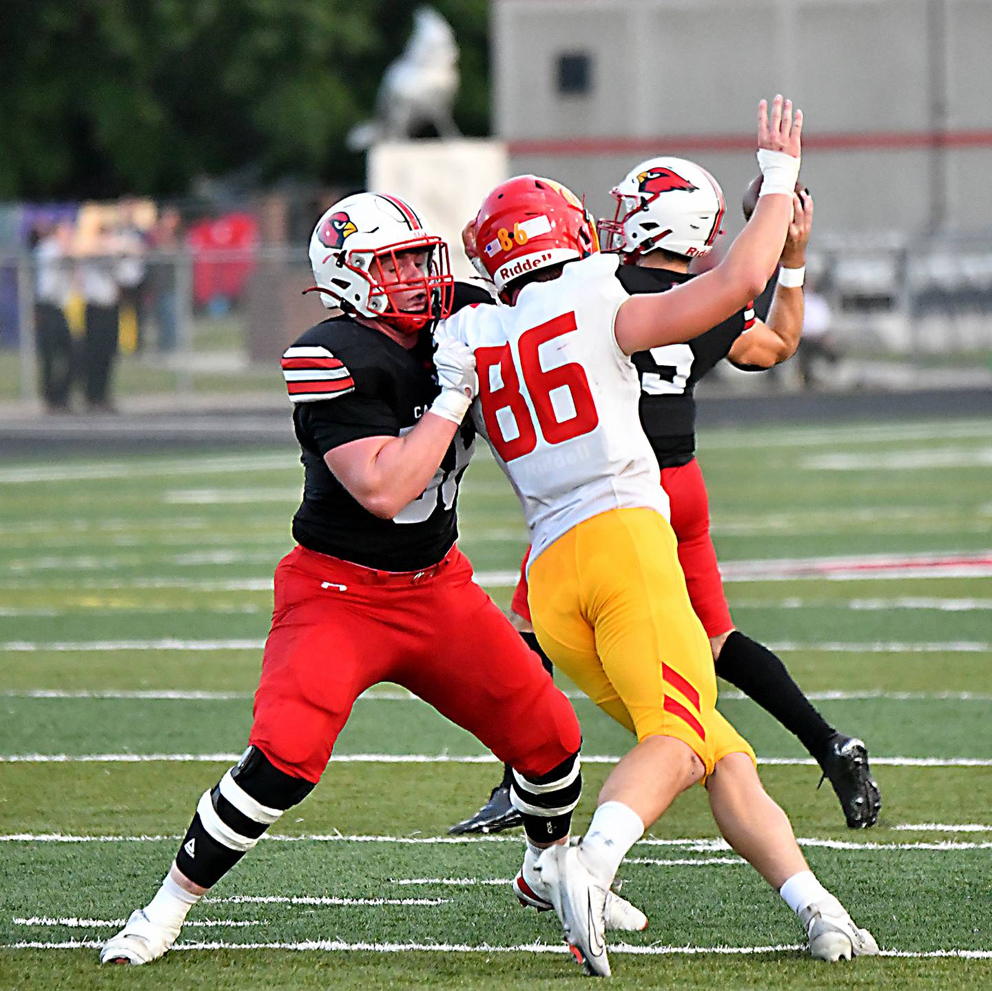 Jake Mace-Maynard