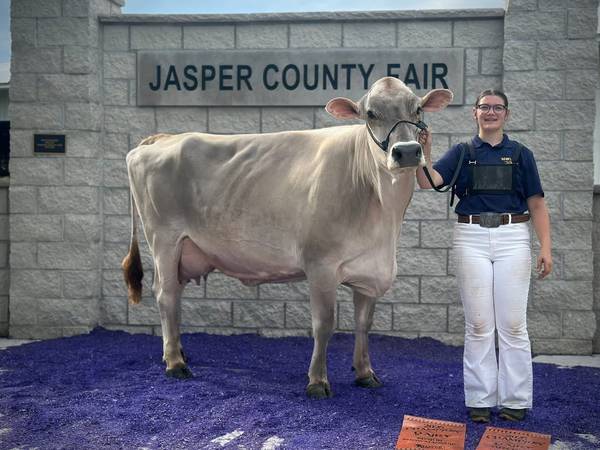 Newton FFA accomplishments at Jasper County Fair