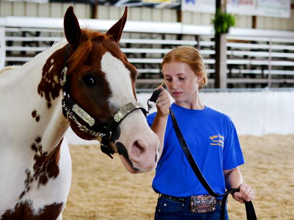 Karly Spear named Champion Showman after numerous top scores