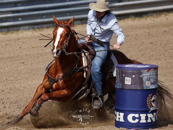 No horsing around here