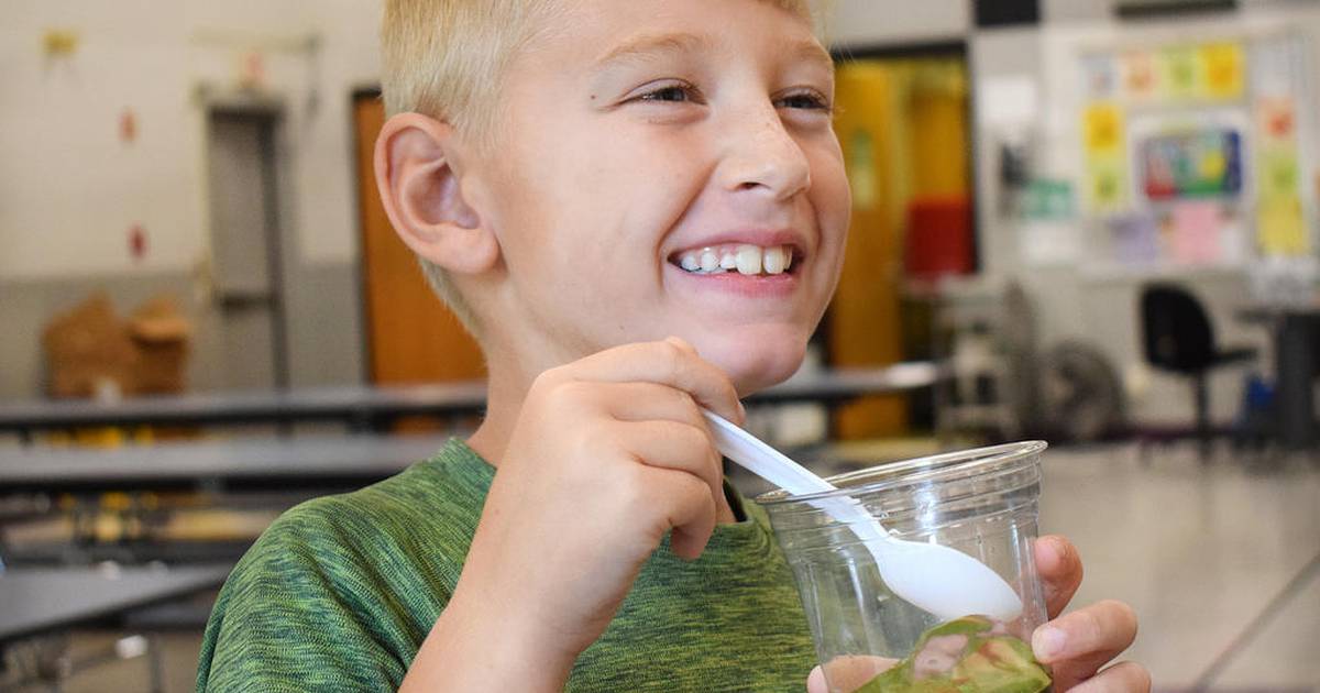 How to make nutrition fun Newton Daily News