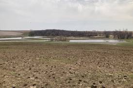 Wetland and Prairie Field Day to be held near Haverhill June 12