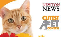 Newton Cutest Pet Contest 2025