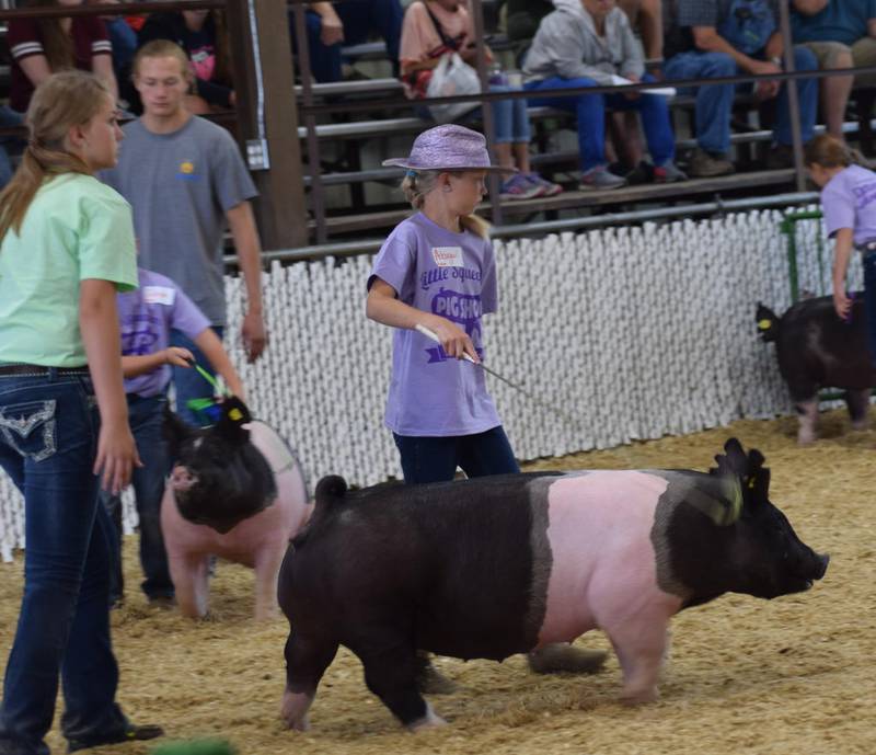 ‘Fairadise’ continues at the Jasper County Fair – Newton Daily News