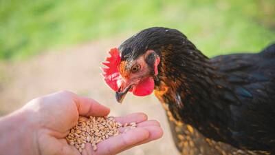PFI welcomes new cohort of beginning farmers to Savings Incentive Program