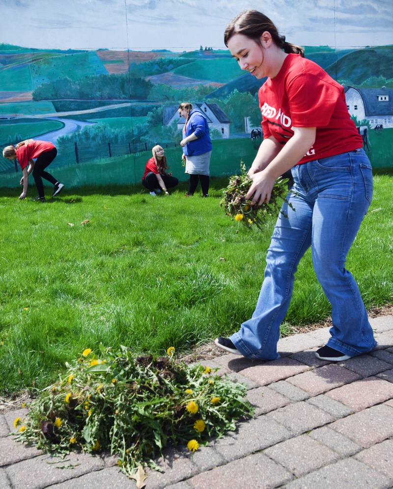 Newton students on May 4 cleared weeds out of Sersland Park during Red Pride Service Day.