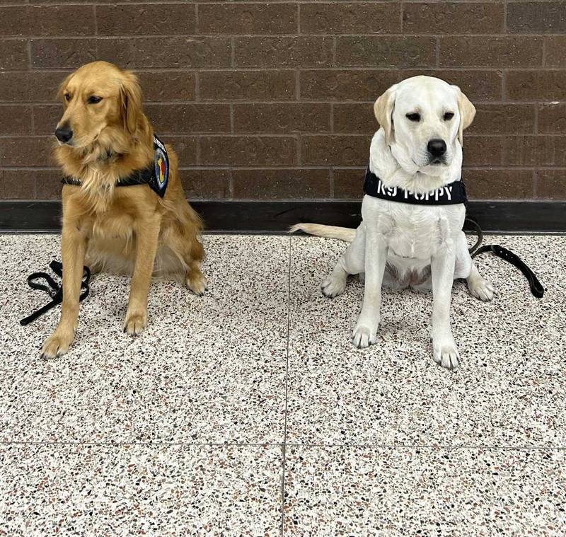 These specially trained dogs will be visiting the Newton Public Library Storytime at 10:30 a.m. Thursday, Nov. 6
