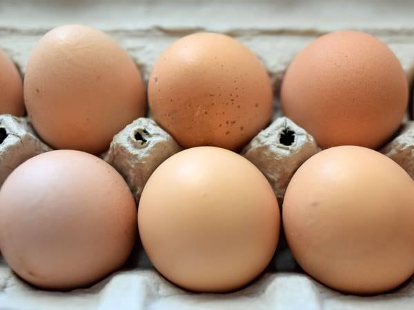 Planning and zoning commission to review urban chicken use