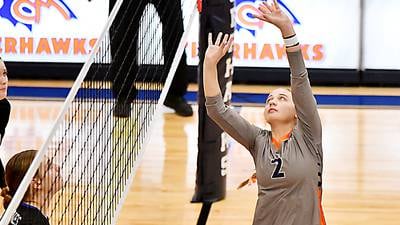 Tigerhawks take second in home volleyball tournament