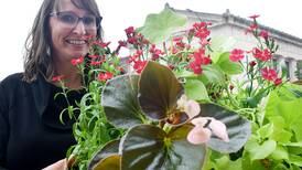 BEAUTIFICATION IN BLOOM: Newton Main Street plants flower pots downtown with the help of local entities