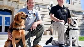 Crisis Canines conducts courtroom training at Jasper County Courthouse