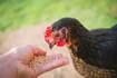 PFI welcomes new cohort of beginning farmers to Savings Incentive Program