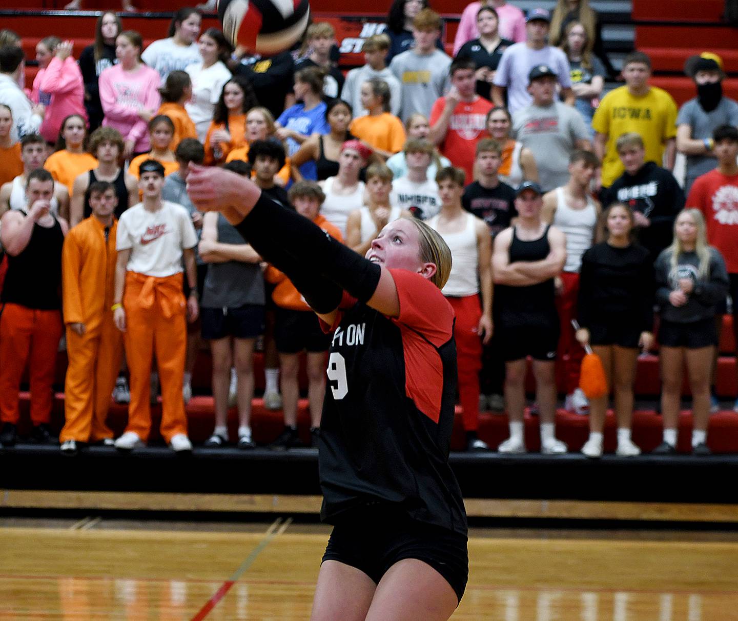 Macy Lampe