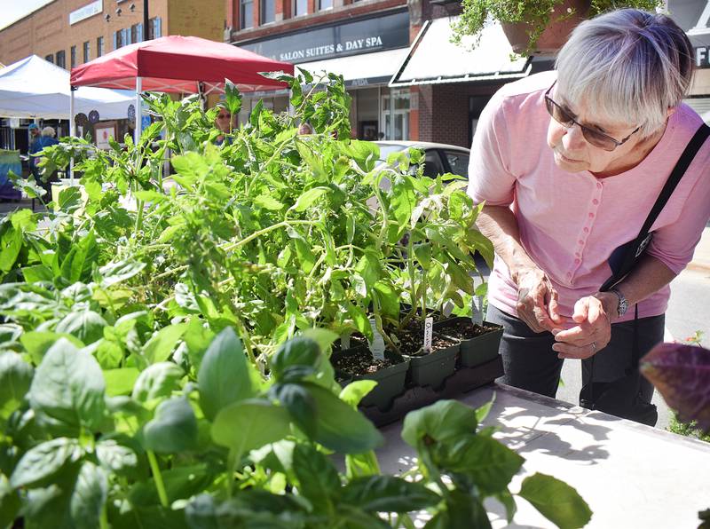 The Newton Farmers Market will be held every Tuesday starting 4 to 6:30 p.m. June 7 on the north side of the Jasper County Courthouse.