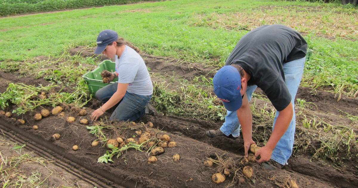 Produce Safety Alliance classes offered through March Newton Daily News