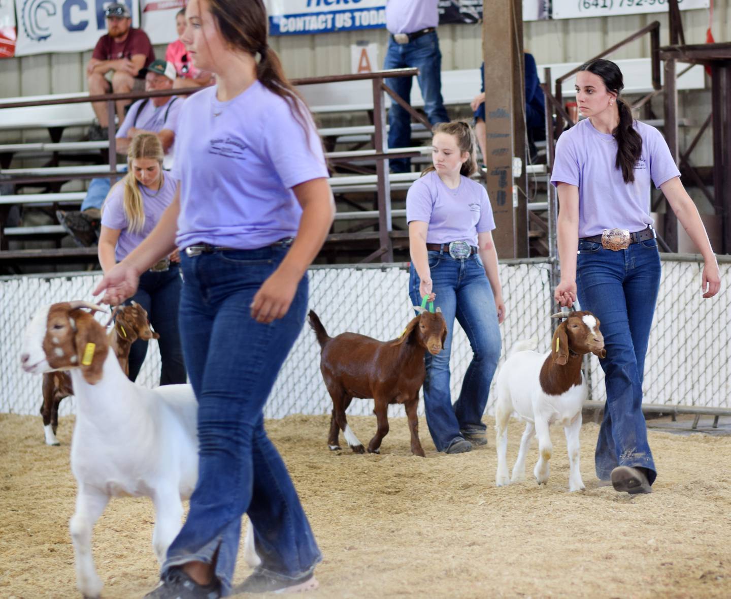 Lauren Zaabel shows livestock during the Brice Leonard Supreme Showmanship Contest during the Jasper County Fair on July 20 in Colfax.