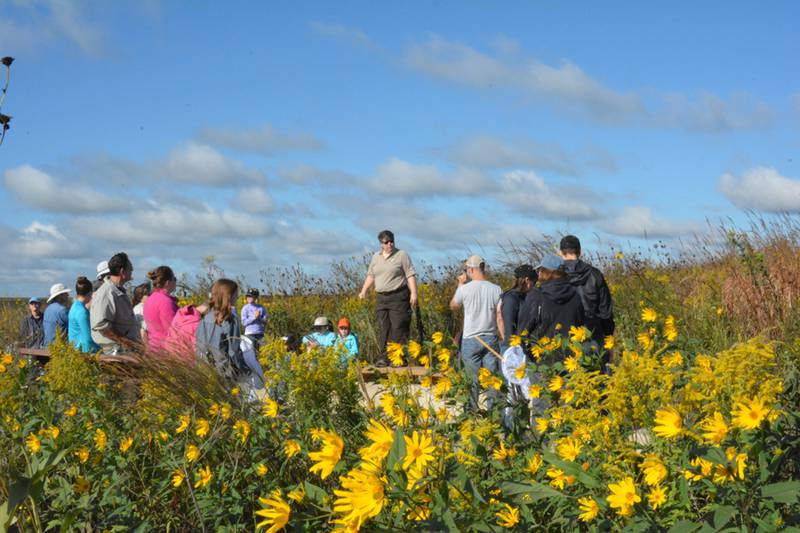 Individuals, families and groups are welcome to volunteer during National Public Lands Day Saturday at the NSNWR by hand collecting native prairie seed.