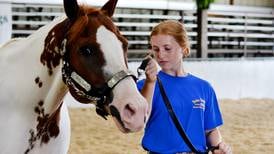 Karly Spear named Champion Showman after numerous top scores