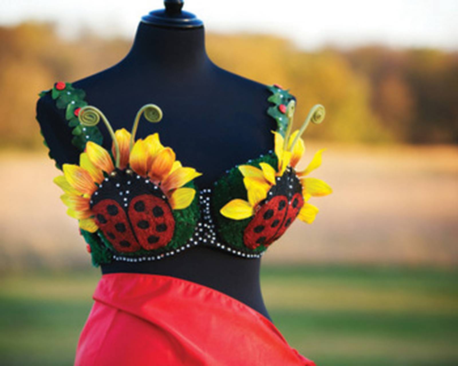 2009 Bras for the Cause gala, charity auction begins Sept. 18 Newton