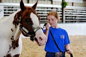 Karly Spear named Champion Showman after numerous top scores