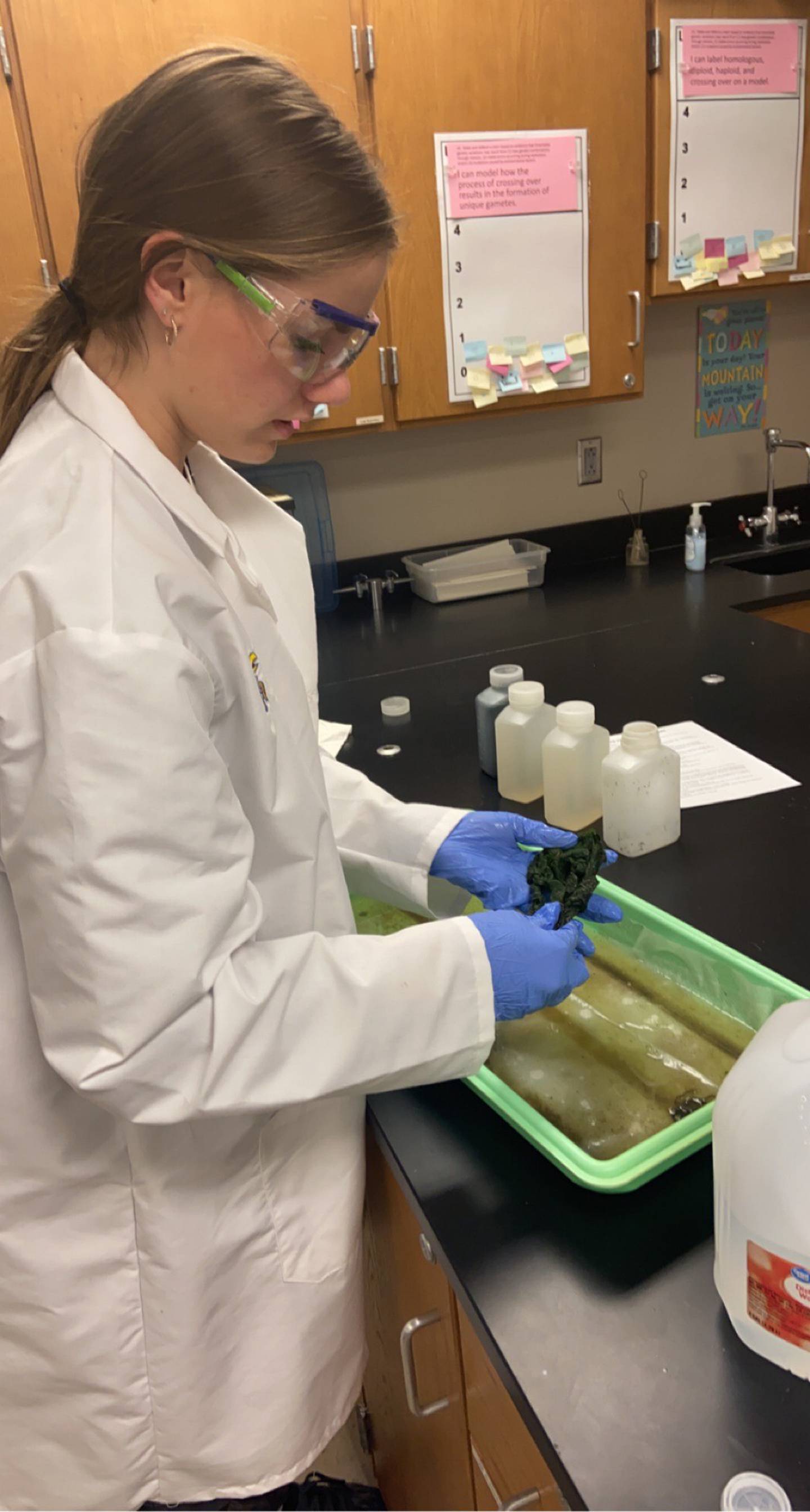 Senior Kallie Van Kley, 17, works with algae inside a science lab of Newton High School.