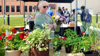 Newton Farmers Market sees record number of vendors in new location at Legacy Plaza greenspace