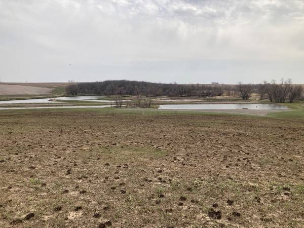 Wetland and Prairie Field Day to be held near Haverhill June 12