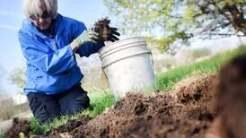 Newton Arboretum and the city parks will host family-friendly Earth Day Fair