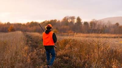 Iowa’s rabbit, squirrel season opens Aug. 30