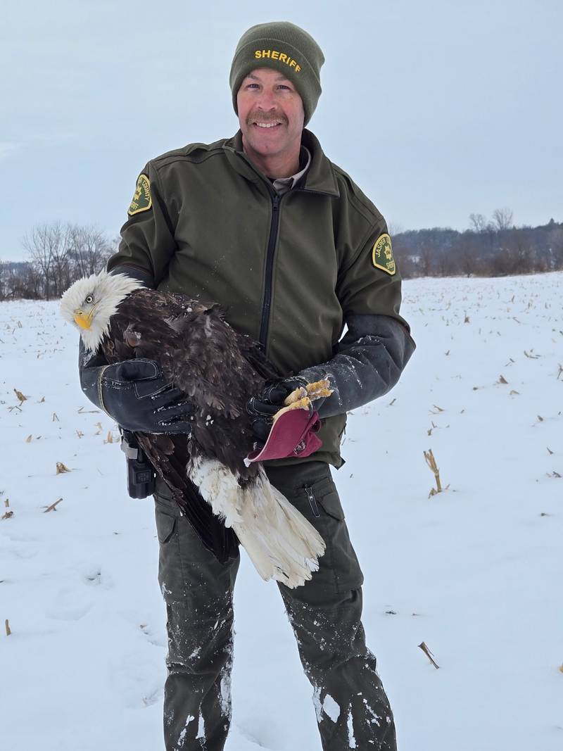 Sergeant Corey Van Kooten of the Jasper County Sheriff's Office showcases the injured bald eagle he helped rescue.